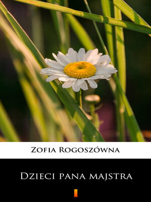 cover image of Dzieci pana majstra
